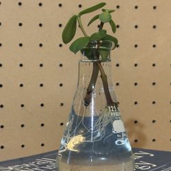 Glass Flask With Jade 