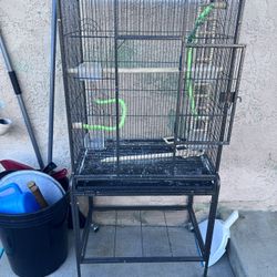 Bird Cage