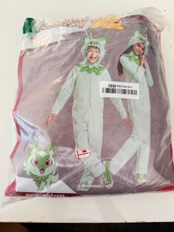 Pokemon costume