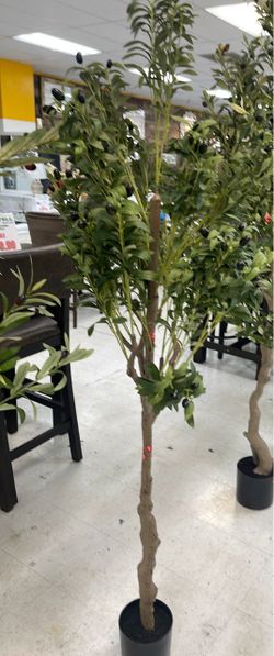 6ft Artificial Olive Tree in Black Pot