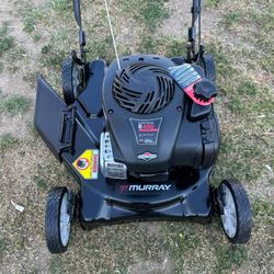 Murray
20 in. 125 cc Briggs & Stratton Walk Behind Gas Push Lawn Mower with 4 Wheel Height Adjustment and Prime 'N Pull Start