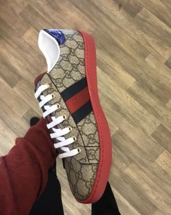 Gucci sneakers