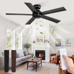 48 in. Indoor/Covered Outdoor Black 6-Speed Low Profile Ceiling Fan