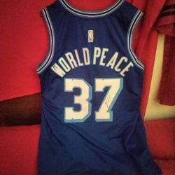 Autographed Metta World Peace Jersey mens XL