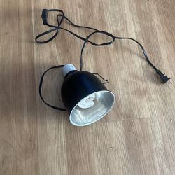 Reptile Heating Lamp