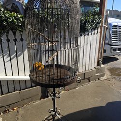 Jaula Para Poner Unos  Cotorritos O Para  Una Guacamaya