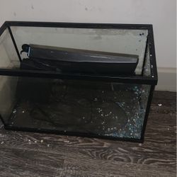 Fish Tank
