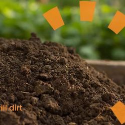 Fill Dirt
