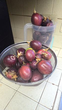 Passion fruits