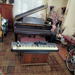 Pianos🎹🎹🎹🎶🎵