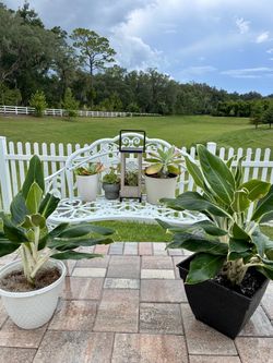 Plant sale