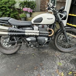 2019 Triumph Street scrambler