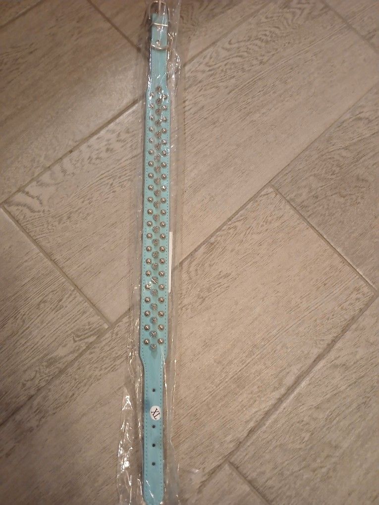 Brand New Dog Collar