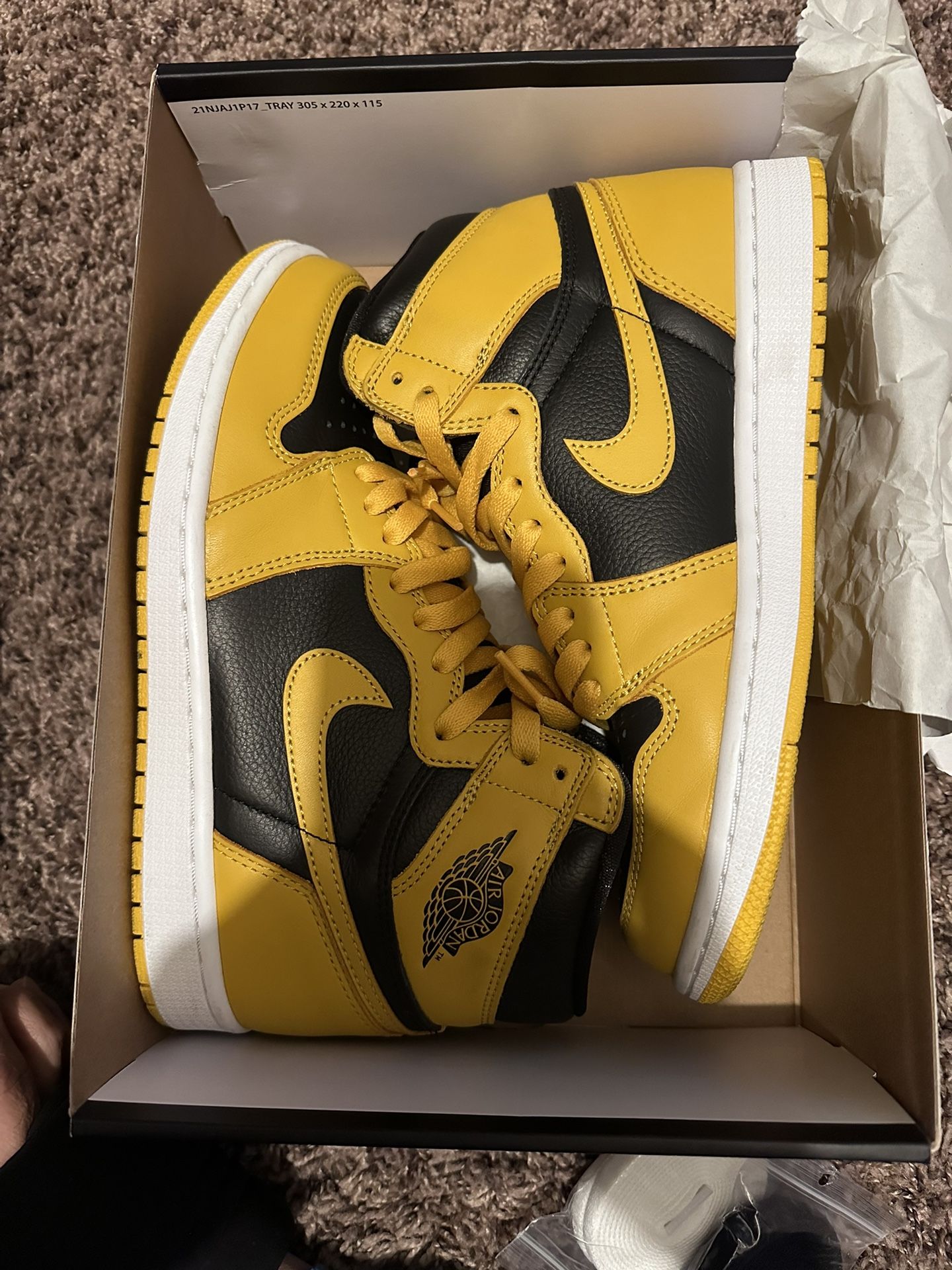 Jordan 1 Pollen