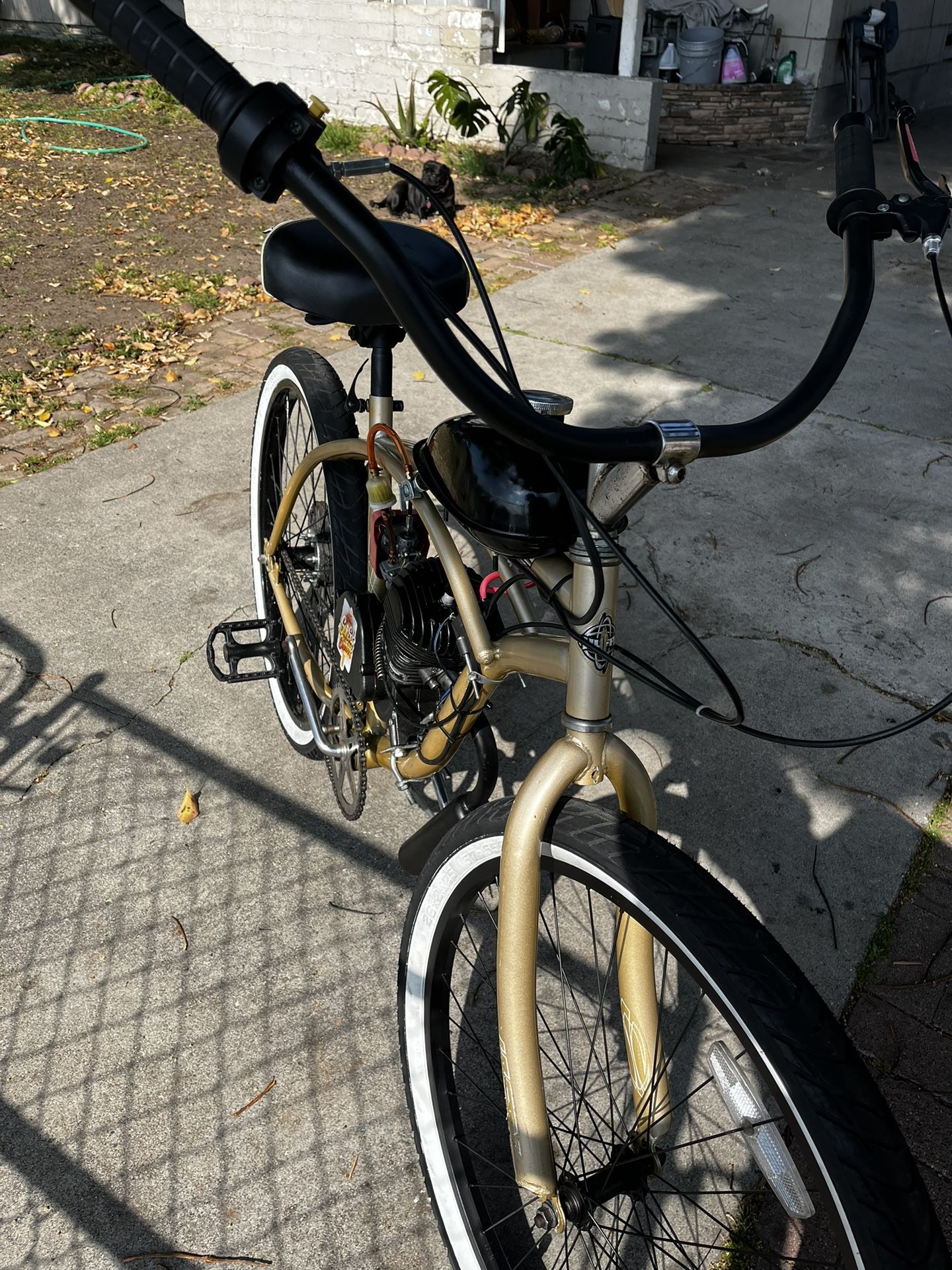 Beach cruiser bike