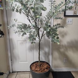 Artificial Eucalyptus Tree 5ft Tall