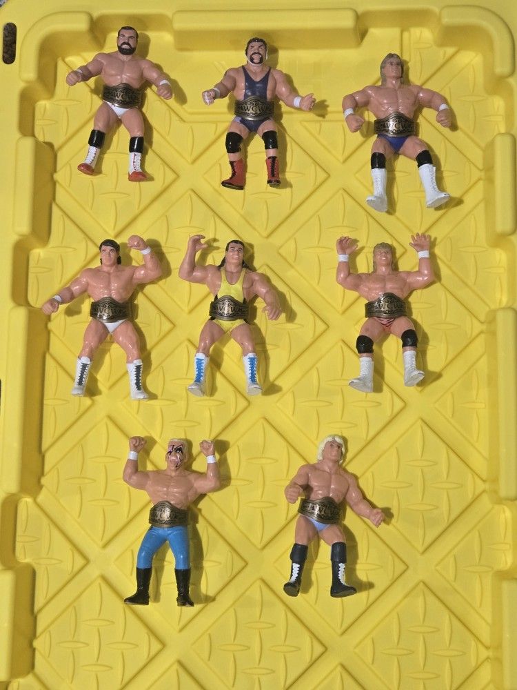 WCW Wrestlers