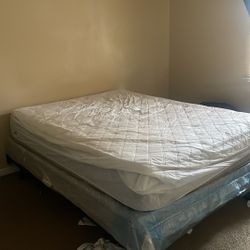 Queen Size Mattress 