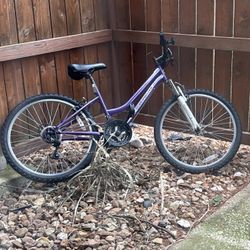 Adult bike, great size awesome condition