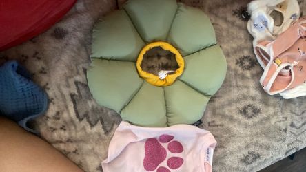 Soft Cone
