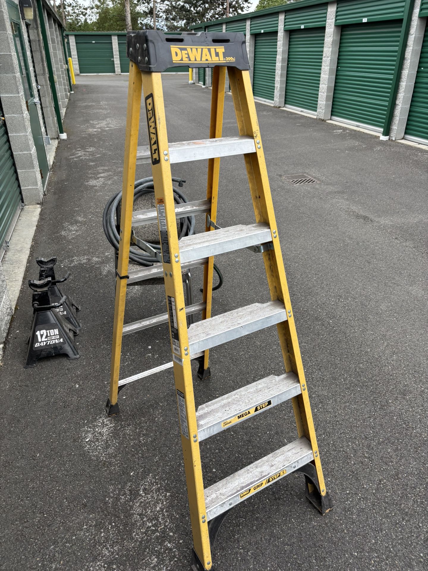 6’ Dewalt Ladder