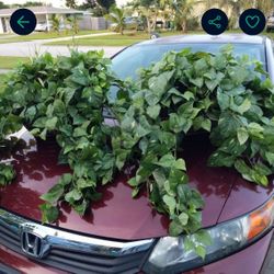 Artificial Arrangement For Decoration $ 25 For Pair ,You Can Spread 50 Wide They Are 16 High 