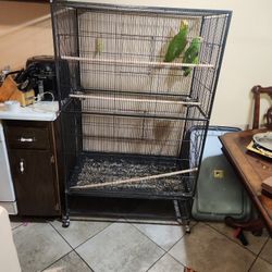 Parrot Cage 