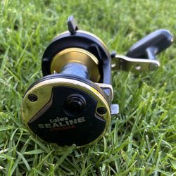 Daiwa Sealine Fishing Reel