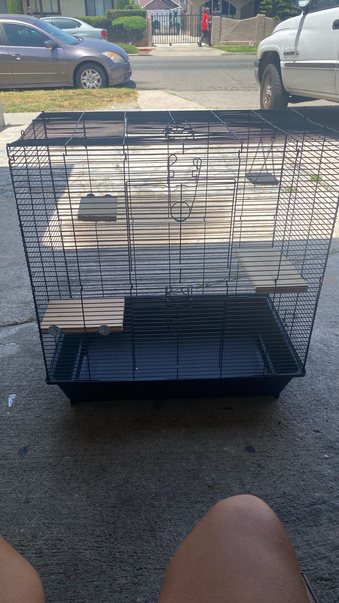 Bird Cage