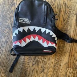 Spray Ground Backpack 