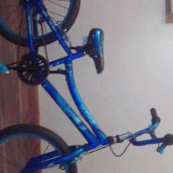 2 Cool Kids Bike 