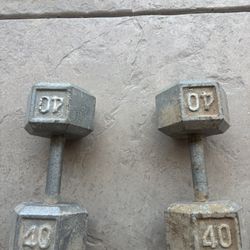 40 pound stone dumbbells💪