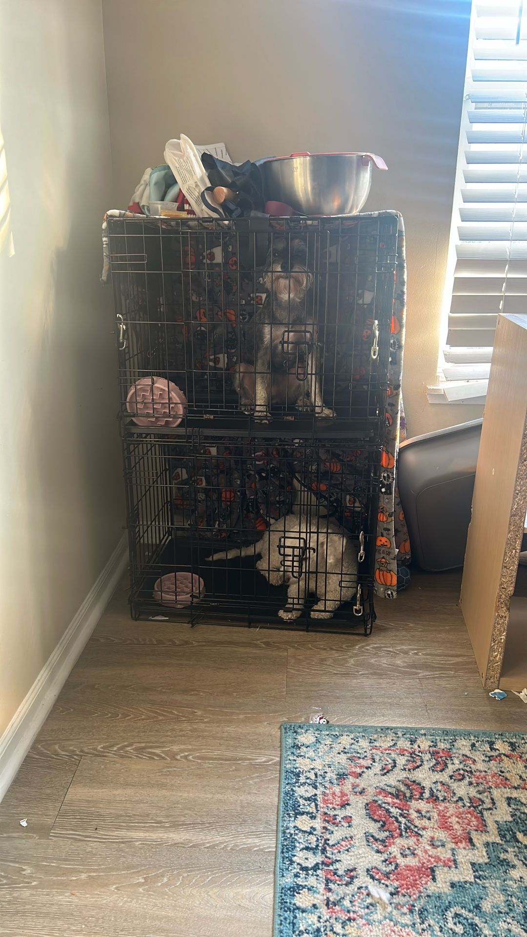 dog cage