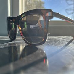 Salvatore Ferragamo Sunglasses Tortoise Polarized 