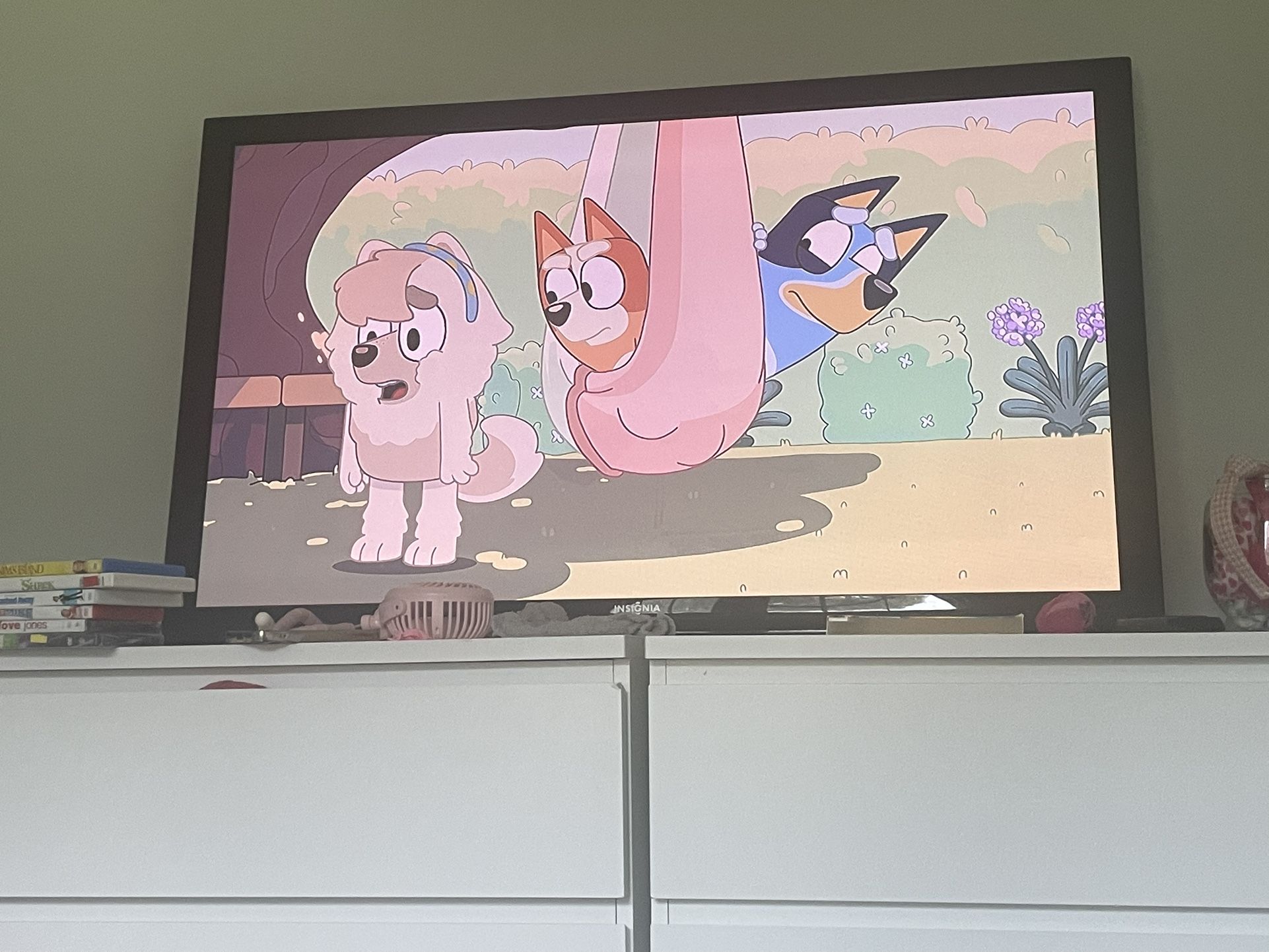 50” Flatscreen TV (Insignia)
