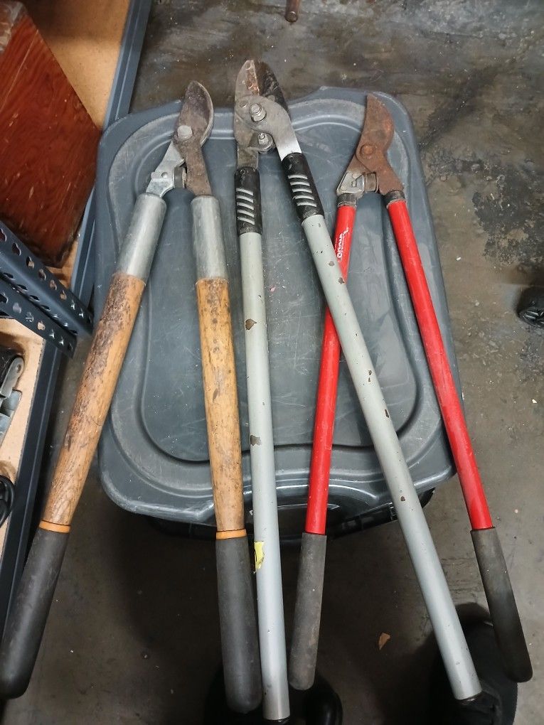3 Tree Pruners