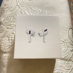 Apple Earbuds