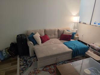 Biege Sectional sleeper couch