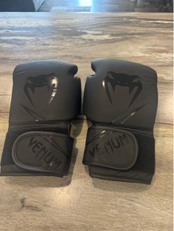 Venom boxing gloves