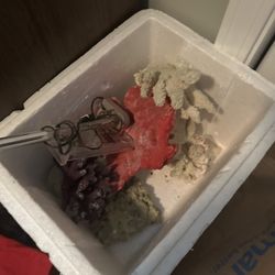Coral Heater Salt Water 