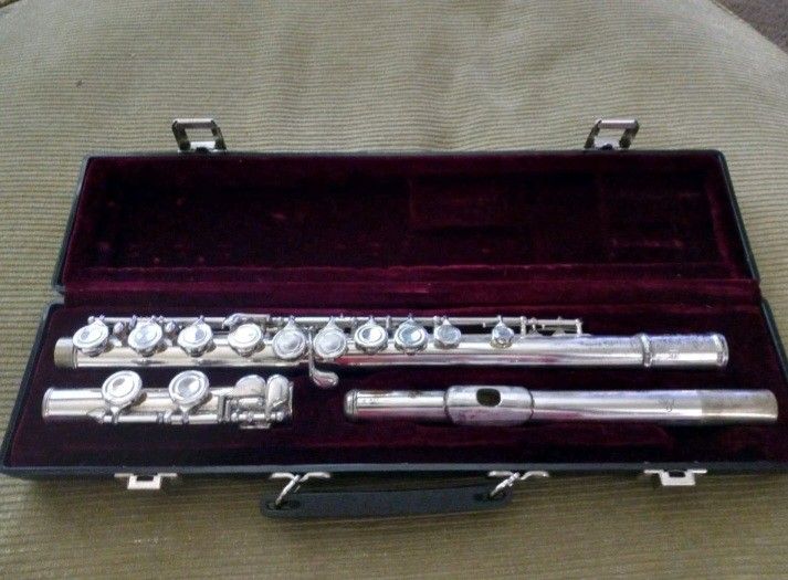 DI ZHAO DZ-220 SILVERPLATED FLUE