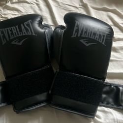 Everlast Boxing Gloves 16OZ