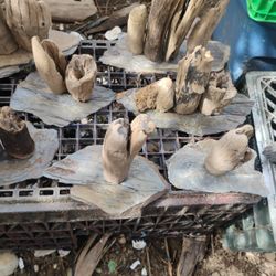 Reptile Basking & Decor