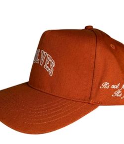 Brand new DARCSPORT HAT