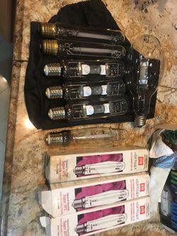 Grow light bulbs