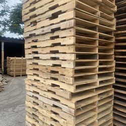 Large “SIZE” Pallets