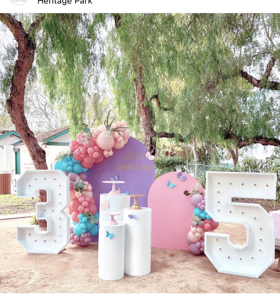 Butterfly Party Decor