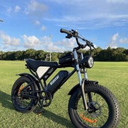 Ridstar