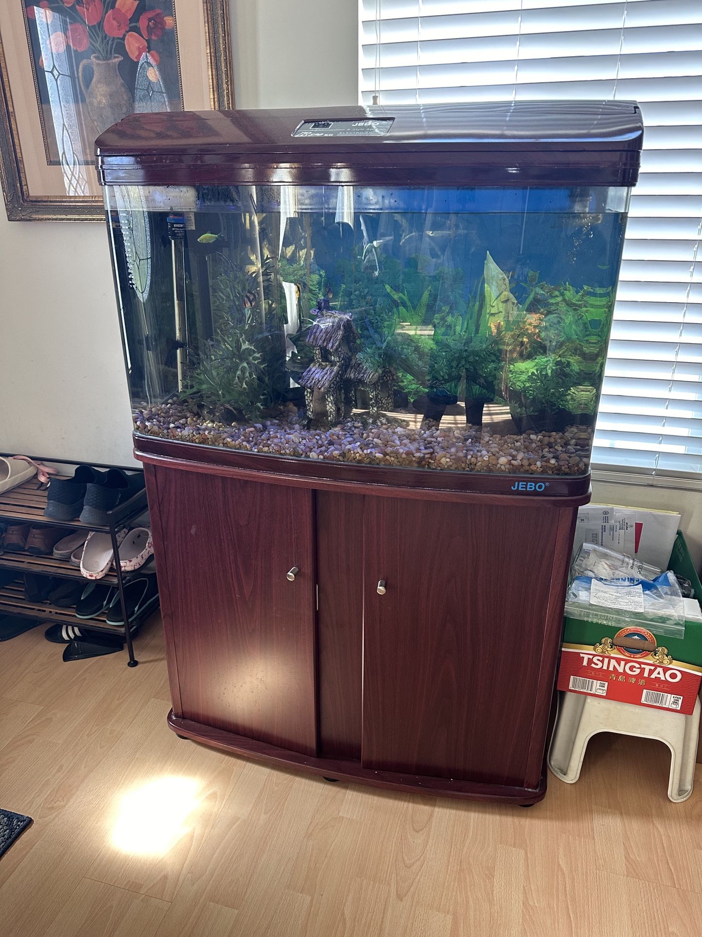 Fish Tank: Jebo R390 55 Gal