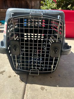 Petmate compass dog crate
